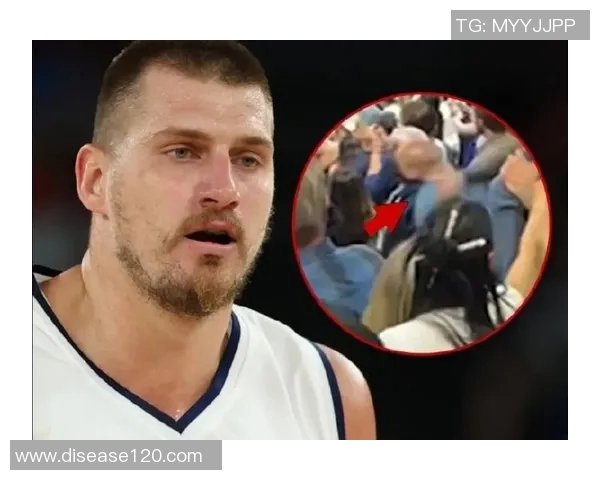 约基奇大哥因湖掘大战后事件承认指控获缓刑一年引发拳击球迷热议