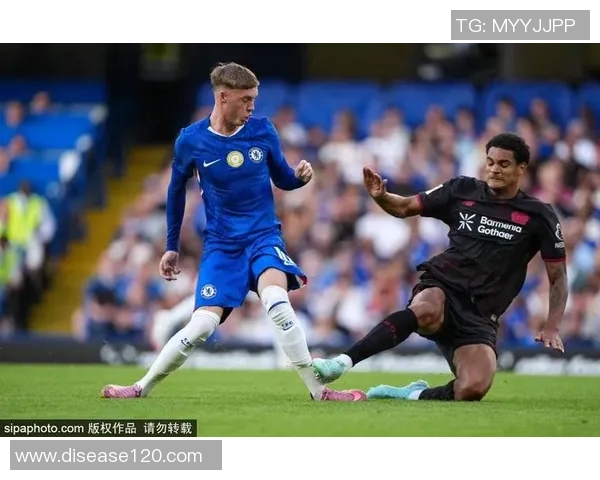 马雷斯卡对澳波的遗憾之情：胜负皆有因，结果无可避免