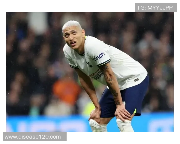 理查利森庆祝英超250场出场里程碑感慨荣幸与感激之情 理查利森庆祝英超250场出场里程碑感慨荣幸与感激之情