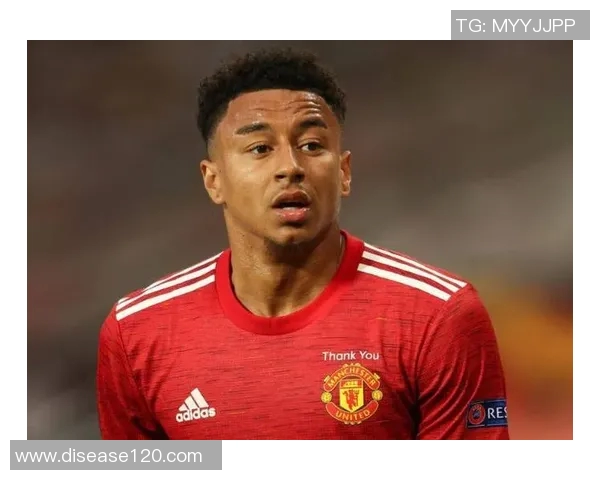 林加德呼吁K联赛改善球场设施与裁判水平以提升比赛质量 林加德呼吁K联赛改善球场设施与裁判水平以提升比赛质量