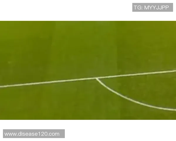 赫斯基强调伊萨克在进球乏力时应提升体能以更好地为球队贡献